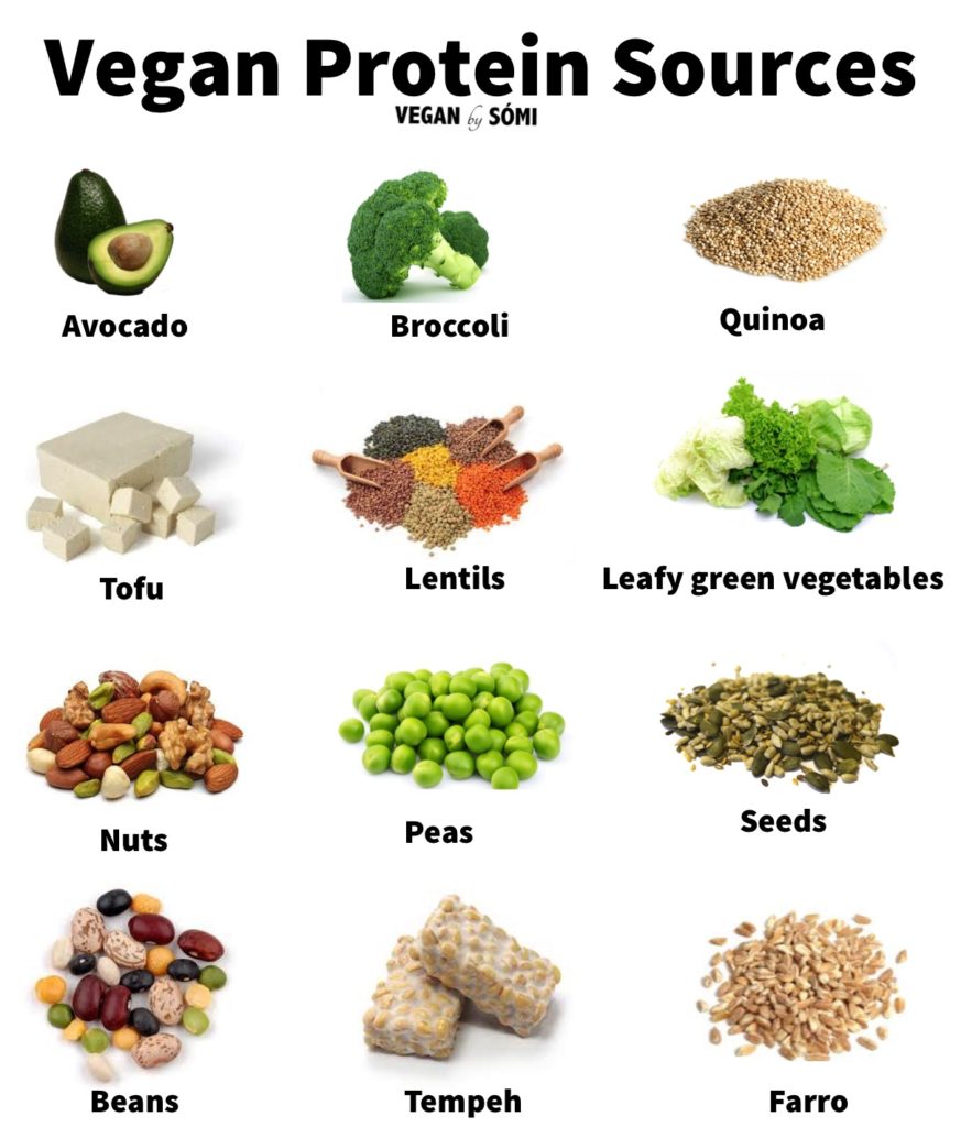 15 Beautiful Vegan Protein List - Best Product Reviews